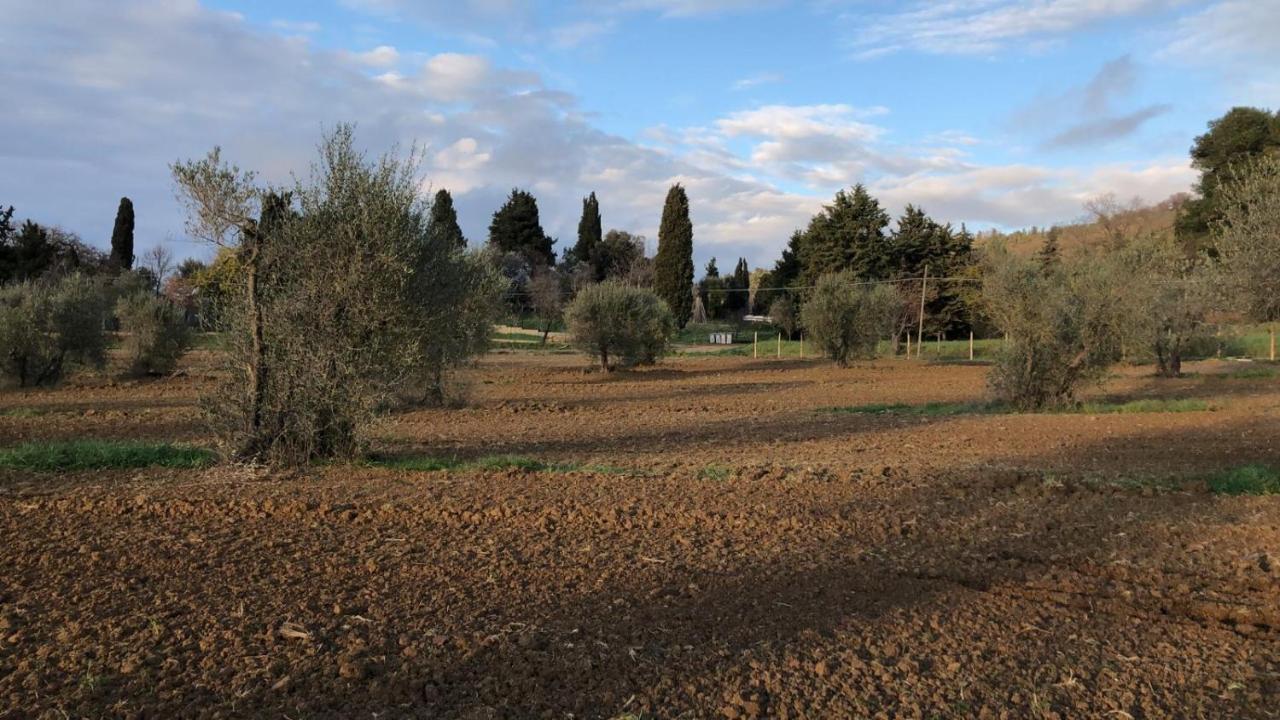 Agriturismo Il Broletto سوفيريتو المظهر الخارجي الصورة